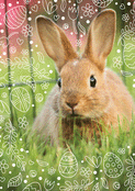 Lapin tendre entour&eacute; de fleurs de P&acirc;ques